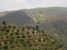 The Jinghong Mud Map Walk (11)