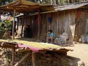 The Jinghong Mud Map Walk (13)