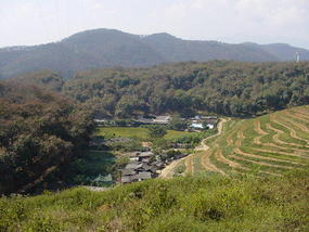 The Jinghong Mud Map Walk (17)
