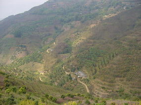 The Jinghong Mud Map Walk (7)