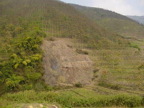 The Jinghong Mud Map Walk (9)