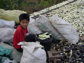Jinhong Hill N Village Ride (13)