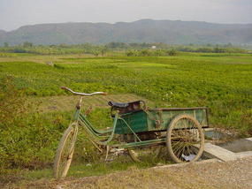 Jinhong Hill N Village Ride (17)