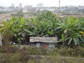 Jinhong Hill N Village Ride (18)