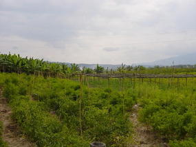 Jinhong Hill N Village Ride (1)