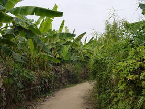Jinhong Hill N Village Ride (2)