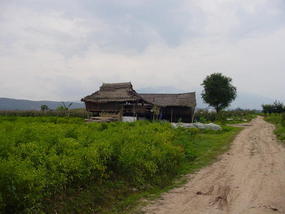 Jinhong Hill N Village Ride (4)