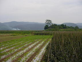Jinhong Hill N Village Ride (6)