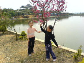 Womens Day BBQ (8)