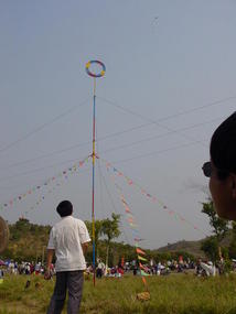Gan Zhuang Shan Festival (3)