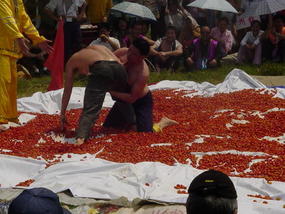 Gan Zhuang Shan Festival (42)