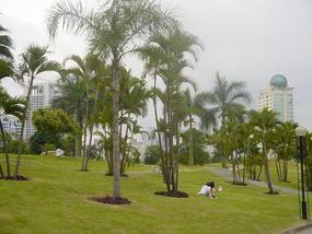 Nanning Weekend (7)