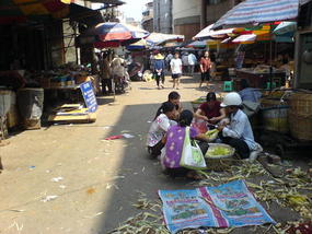 Tiandong N Baise Weekend (1)