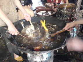 Tiandong N Baise Weekend (3)