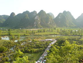 May Day Week Holiday (7)