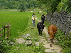 Baisha Hidden Stone Village (13)