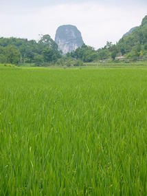 Baisha Hidden Stone Village (14)
