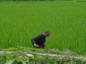 Baisha Hidden Stone Village (19)