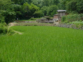 Baisha Hidden Stone Village (1)