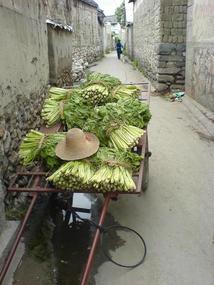 Dali Lake Village Walk (12)