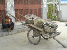 Dali Lake Village Walk (20)