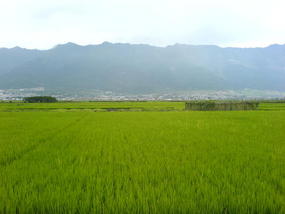 Dali Lake Village Walk (3)