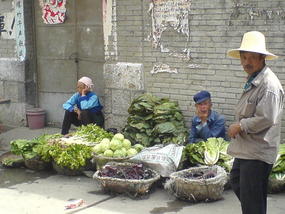 Dali Lake Village Walk (5)