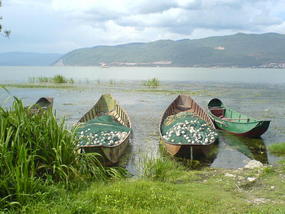 Dali Lake Village Walk (9)