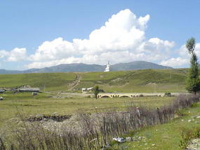 Litang Town & Monastery Walk (1)