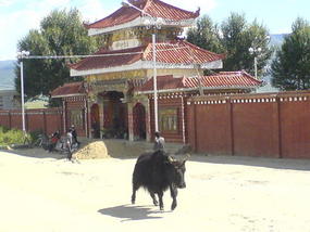 Litang Town & Monastery Walk (46)
