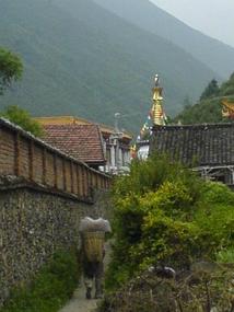 Mountains  & Monasterys (29)