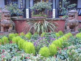 Temple & Town Walk (5)