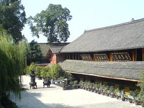 Temple & Town Walk (6)