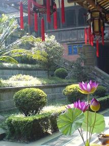 Temple & Town Walk (9)