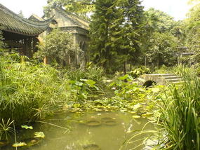 Wenshu &  Temple Renmin Park (17)