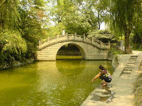 Wenshu &  Temple Renmin Park (19)