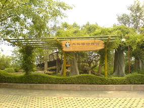 Panda Research Base (5)