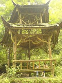 Qingcheng Shan (1)