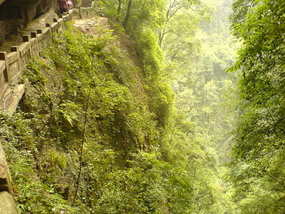 Qingcheng Shan (26)