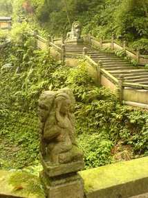 Qingcheng Shan (27)