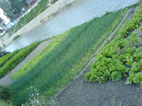 Beautiful Town (4)
