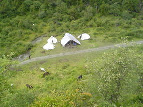Horse Trek Day I (10)