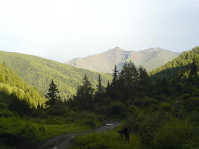 Horse Trek Day I (15)