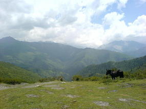 Horse Trek Day I (7)