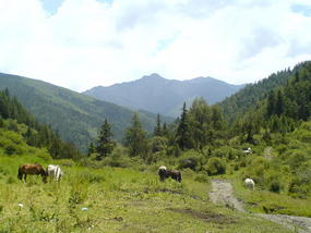 Horse Trek Day I (8)