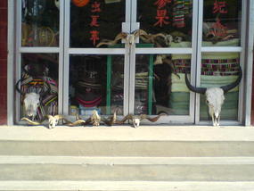 Langmusi Town Walk (25)