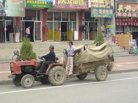 Lanzhou City Walk (1)