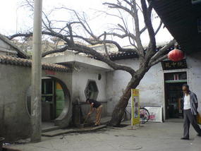 Big City Walk (5)