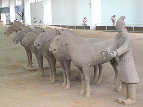 Army Of The Terracotta Warriors (5)