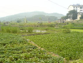 Yangshuo Back Streets (12)